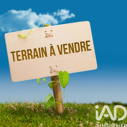 Terrain  Mûrs-Erigné