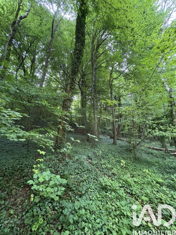 Terrain  Doullens