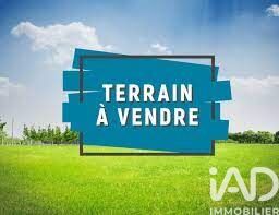 Terrain  Revel
