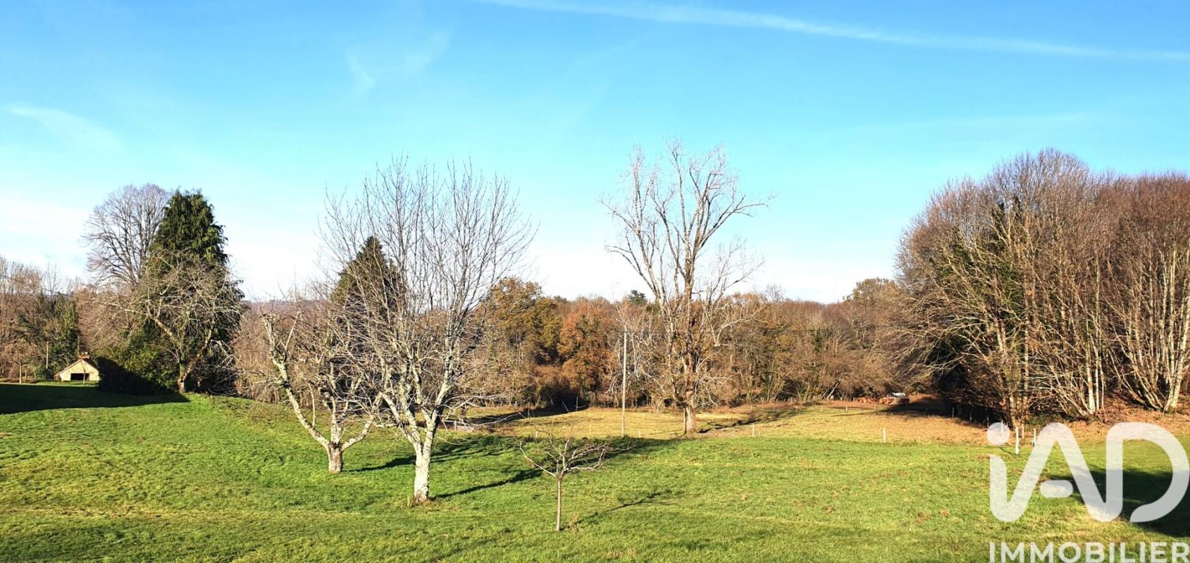 Terrain  Albussac