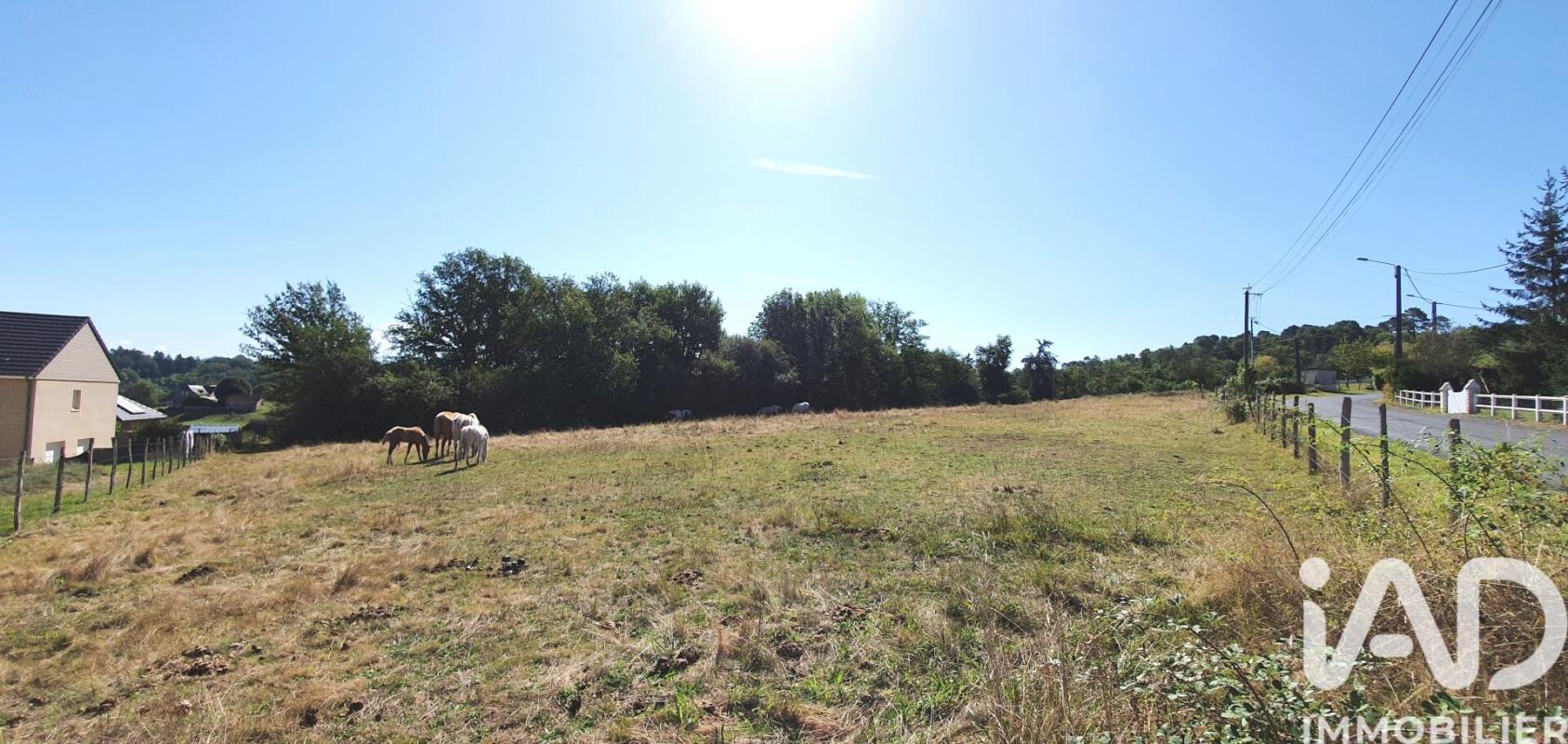 Terrain  Brive-la-Gaillarde
