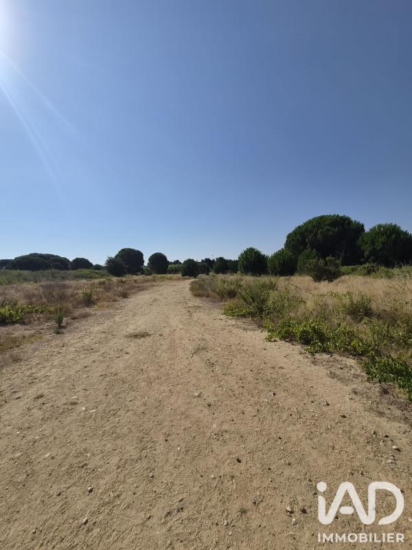 Terrain  Latour-Bas-Elne