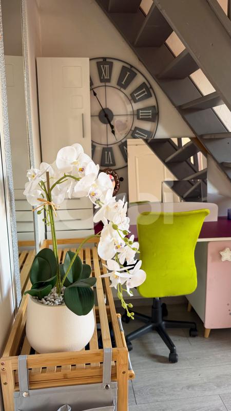 Maison de ville 5 pièces avec caves voutées À Vendre