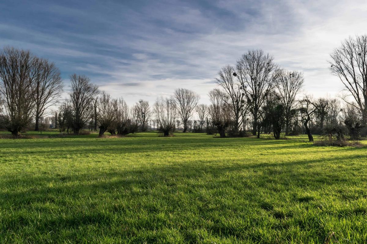 Magnifique terrain plat centre village VIABILISE