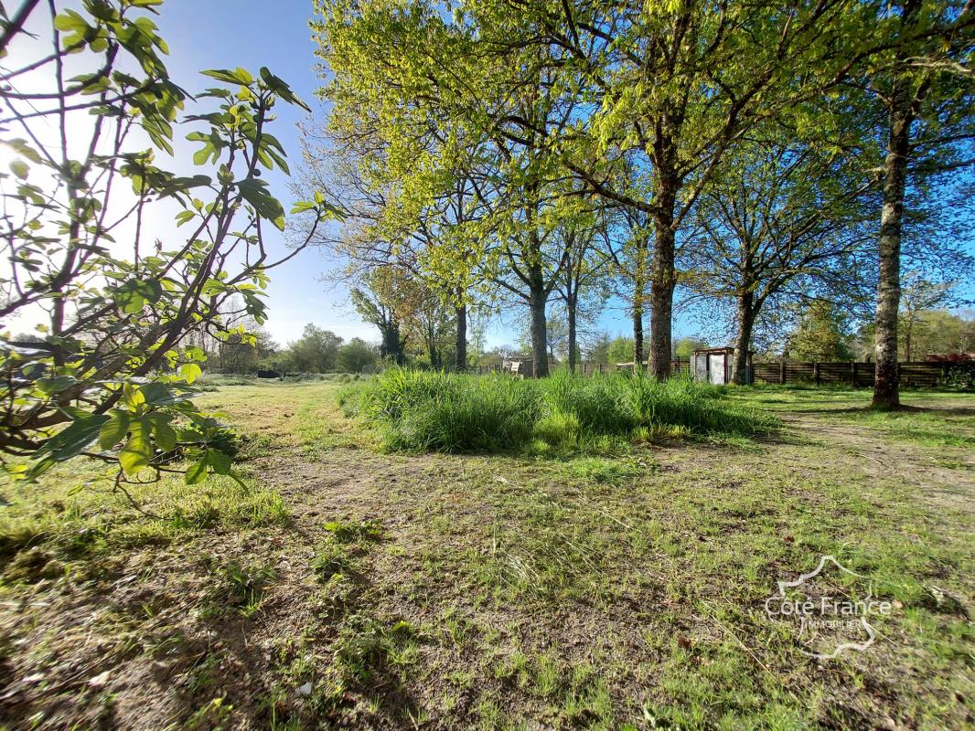 Maison 5 chambres et grand jardin - Photo 3