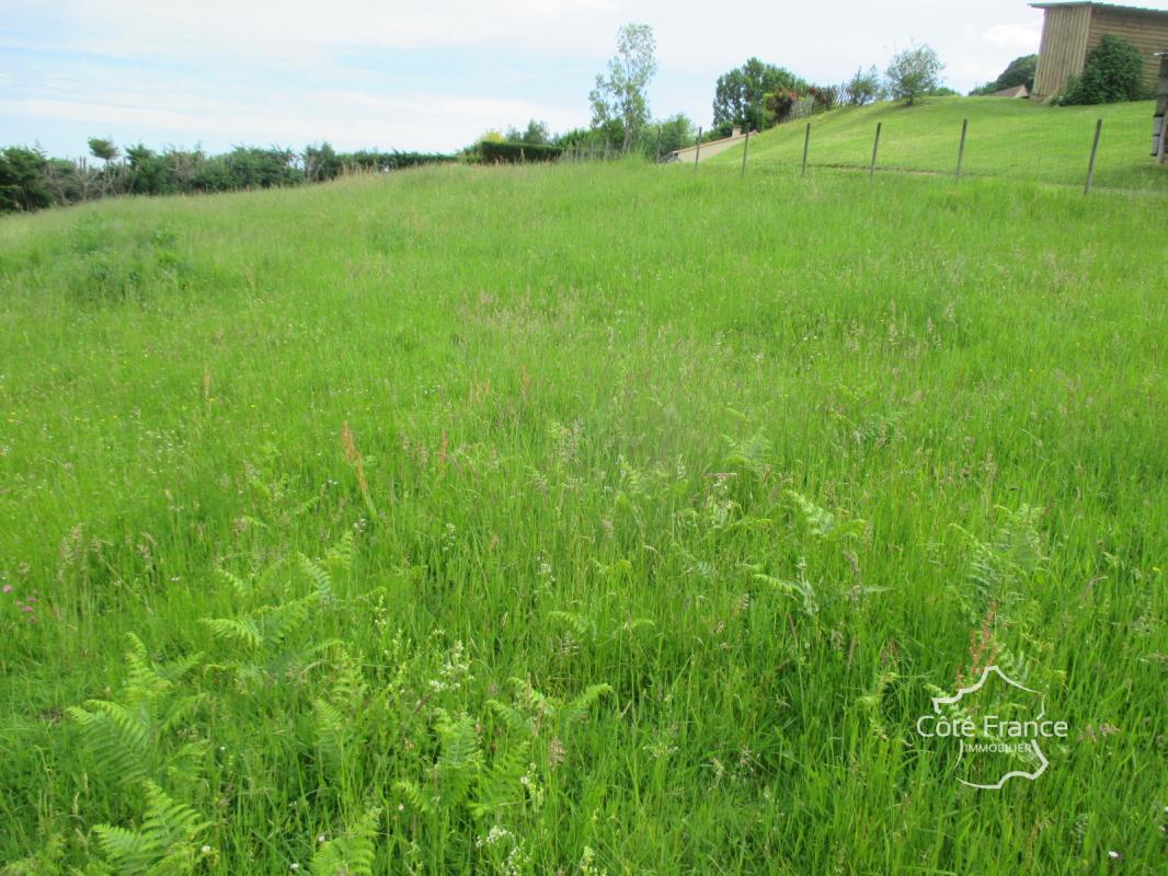 DORDOGNE-SARLAT LA CANEDA- 24200-TERRAIN A BATIR