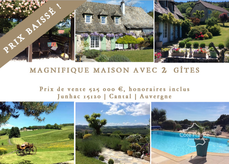 Magnifique propriété avec maison d'habitation, gîtes et pisc