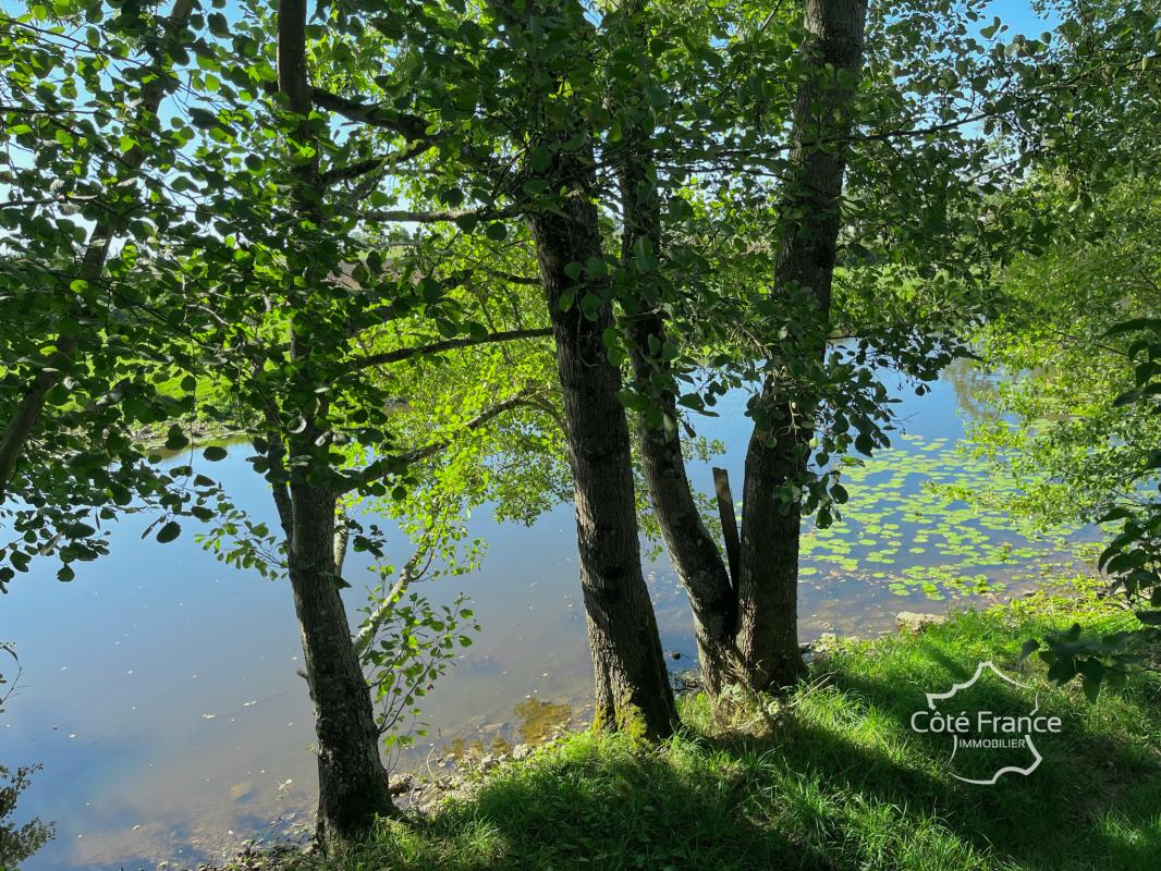 À vendre   Exceptionnel terrain constructible de 7 280 m2 av