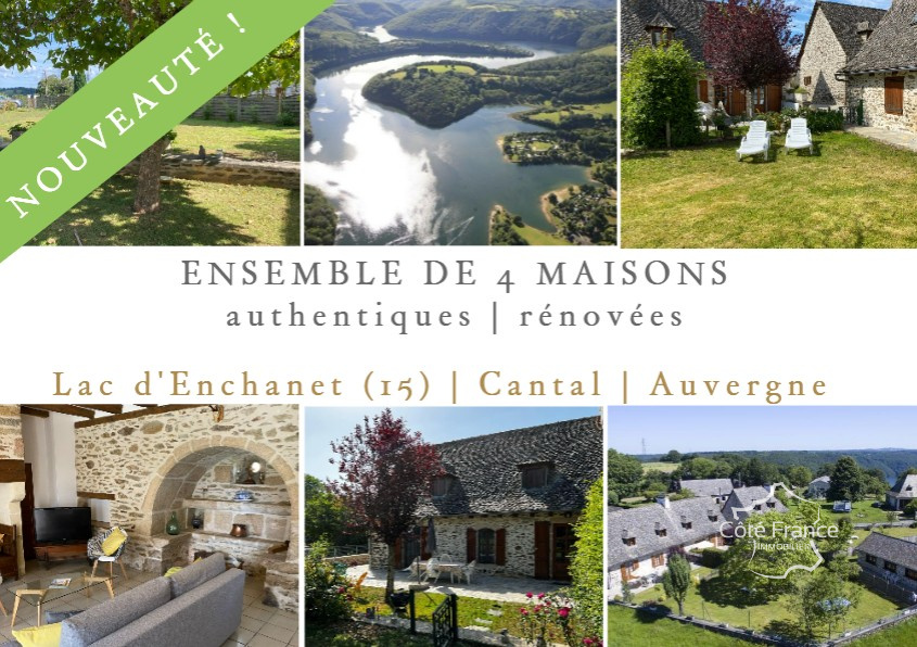 Maison à vendre, 14 pièces, 291 m², Arnac