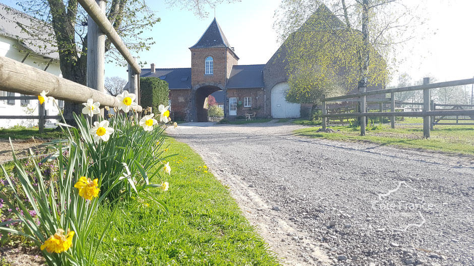 Maison à vendre, 22 pièces, 553 m², Vervins