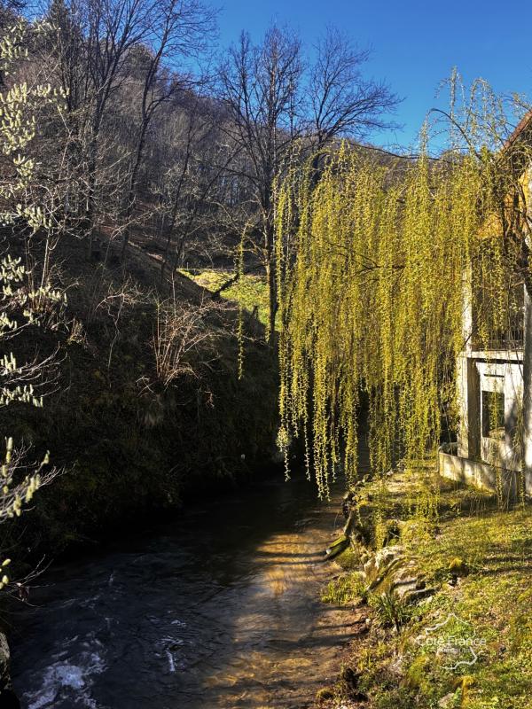 Ancien moulin renové avec grange et terrain à Boisset 15600 - Photo 3