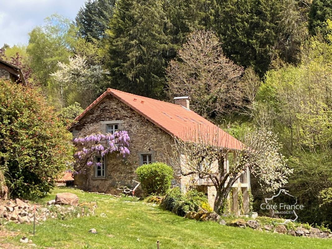 Ancien moulin renové avec grange et terrain à Boisset 15600 - Photo 4