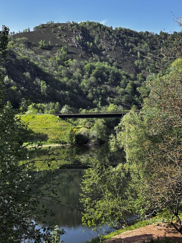 Charmante maison de T5  avec vue sur Le Lot à Conques-en-Rou - Photo 4
