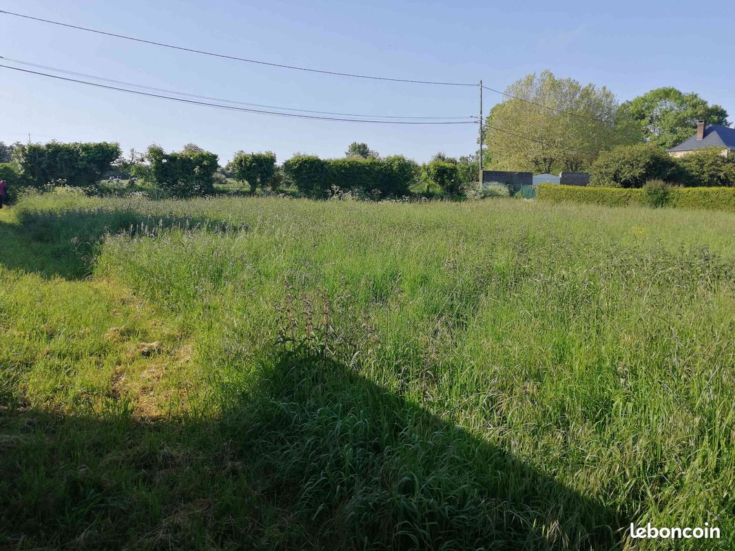 Immo80 – L'immobilier à Amiens et dans la Somme-Terrain constructible – BRUTELLES