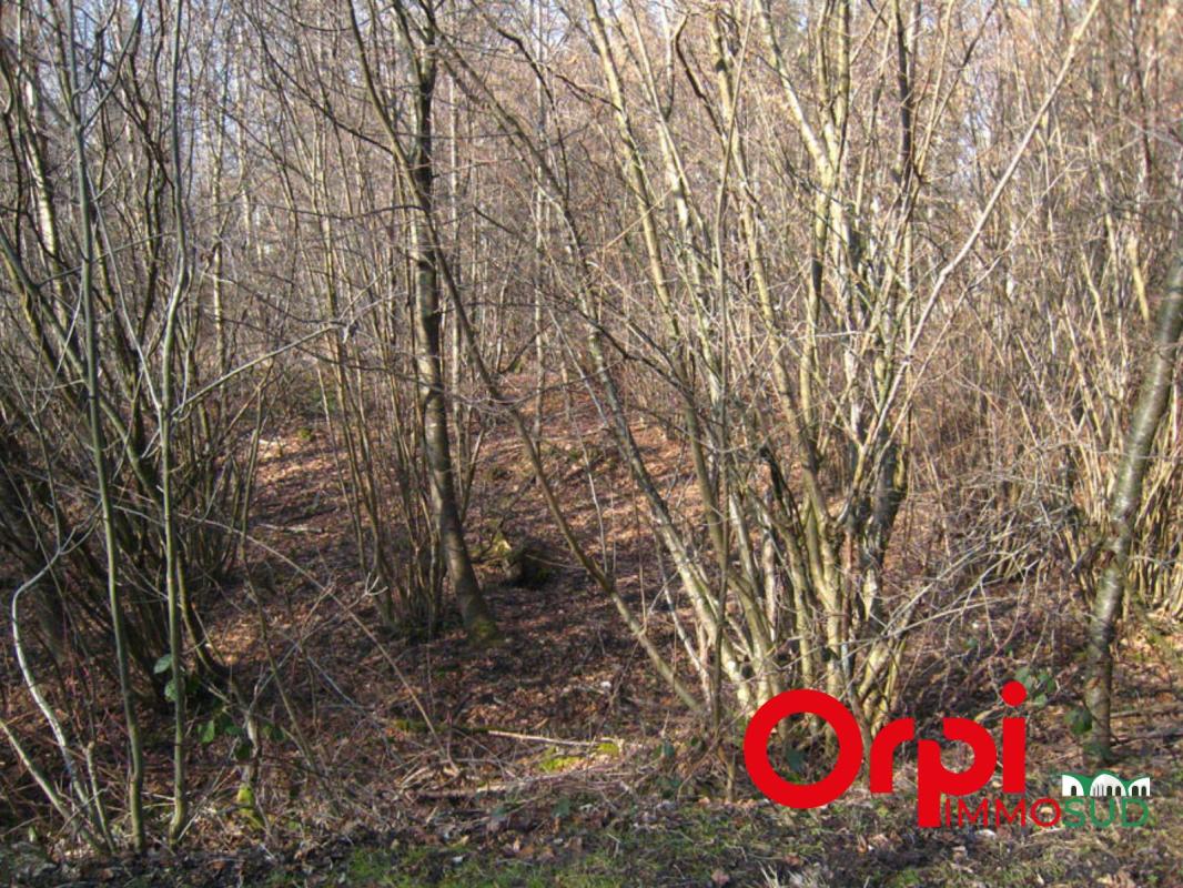 Parcelles de bois à BACOUEL-SUR-SELLE (80)
