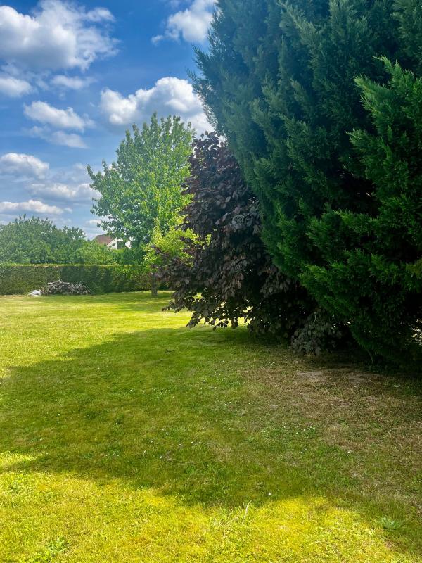 Terrain à vendre à SAINS-EN-AMIENOIS (80)