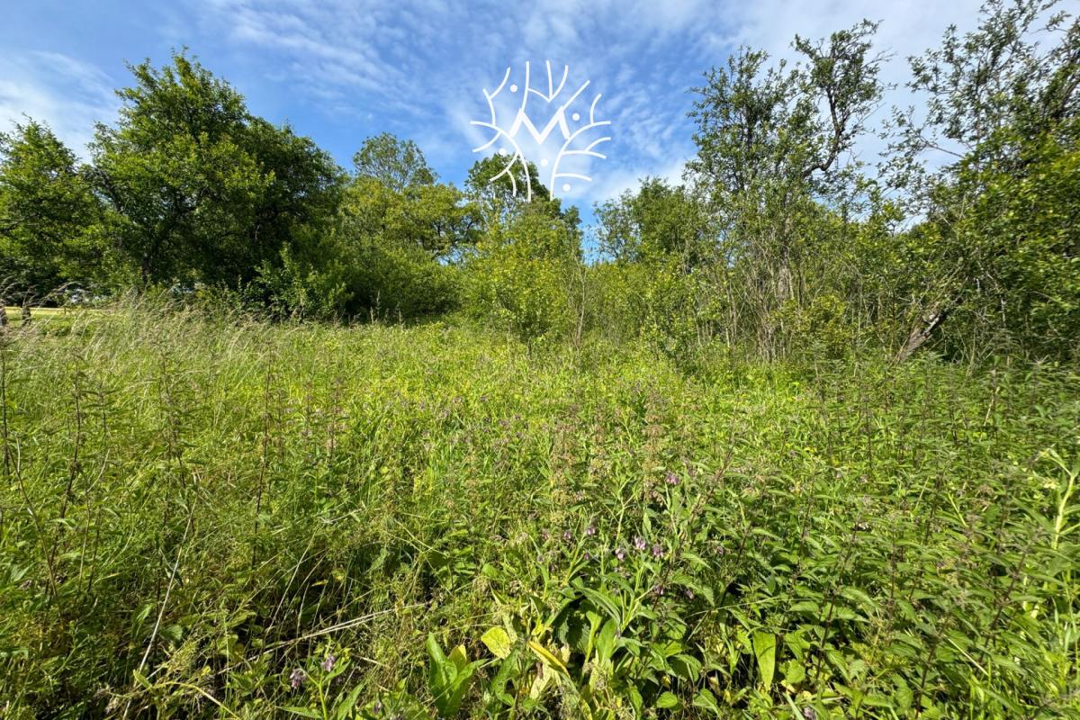 Vente terrain à bâtir