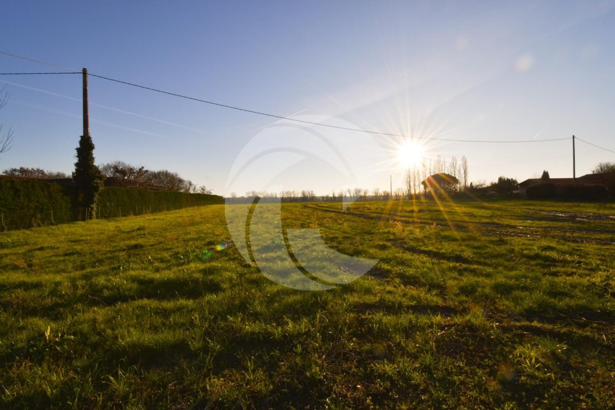 Terrain constructible de 1 566m2