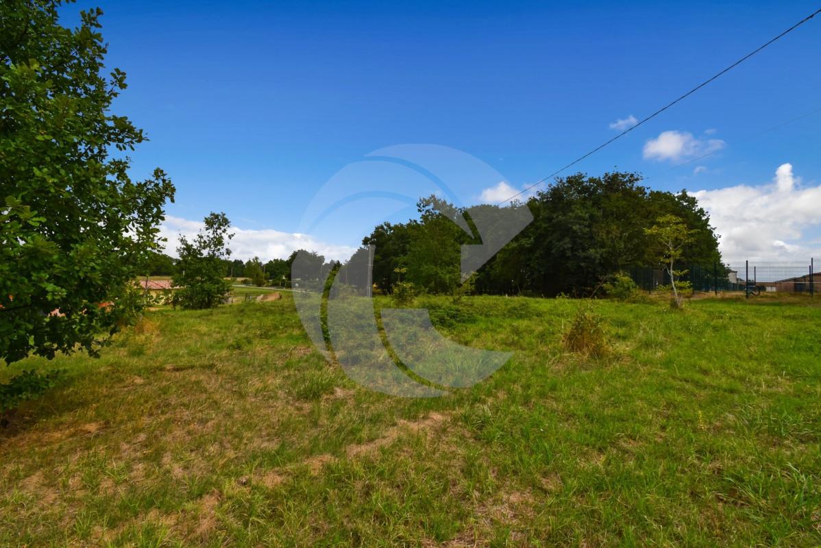 Terrain constructible et viabilisé de 1 000 m² au calme – L'Honor-de-Cos proche Montauban