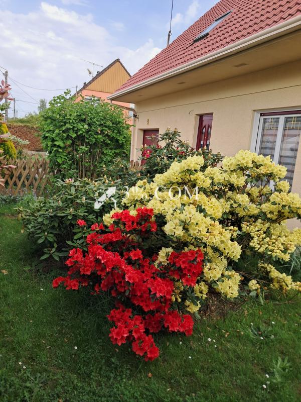 MAISON 122 M2 - 4 CHAMBRES - 2 GARAGES - PARCELLE 750 M2 - Photo 2