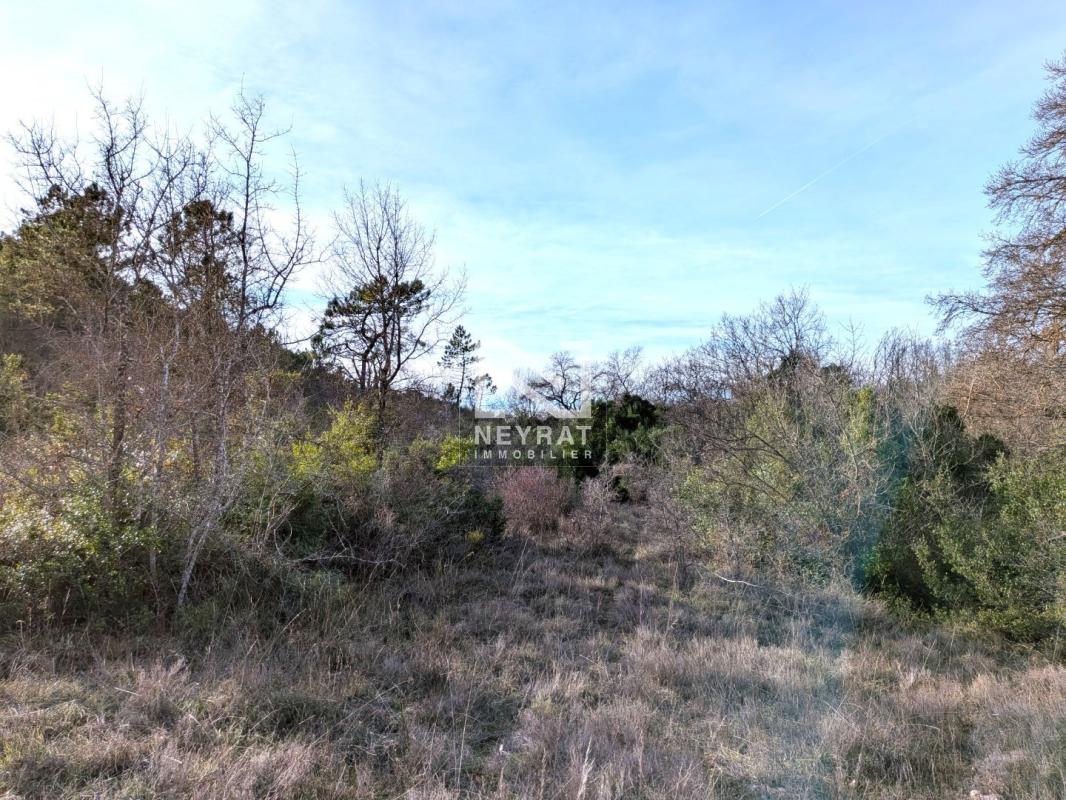 Terrain naturel de 5 hectares – Environnement calme et vue dégagée