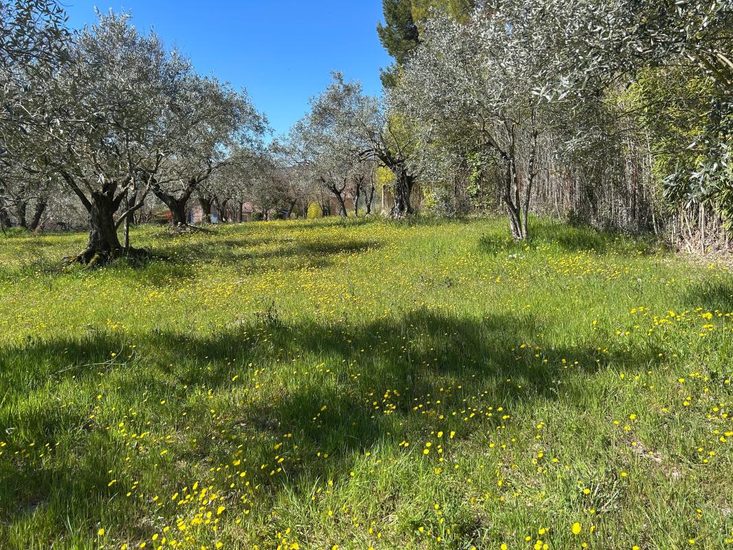 Terrain À Vendre