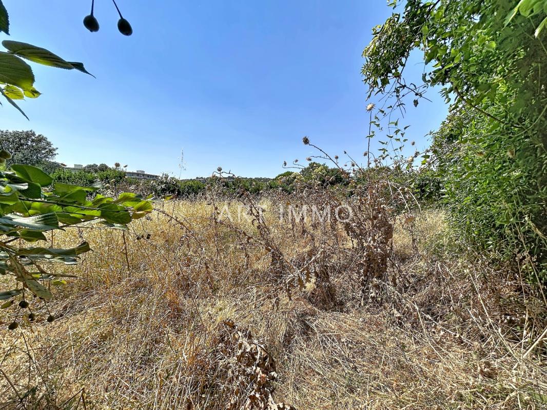 Terrain — Cavaillon
