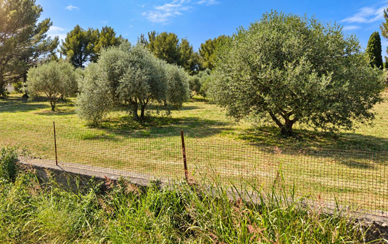 Terrain — Saint-Chamas