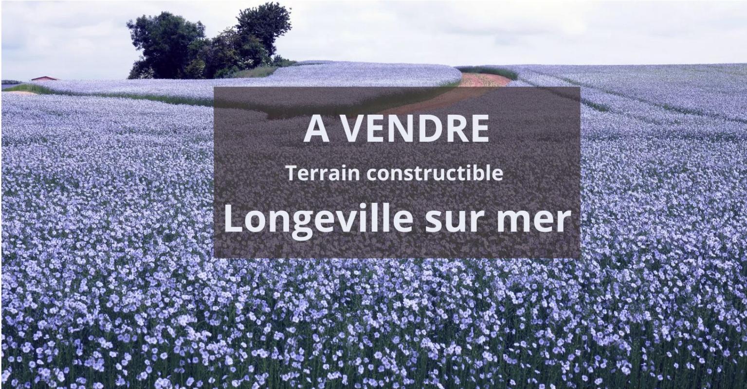 Parcelle de terrain constrcutible Longeville sur mer
