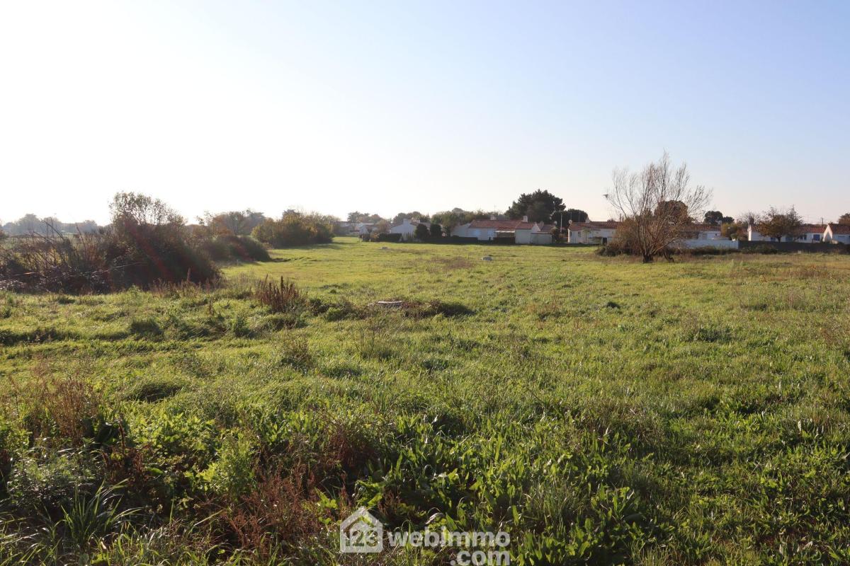 Terrain à bâtir - 3261m² - Saint-Vincent-sur-Jard