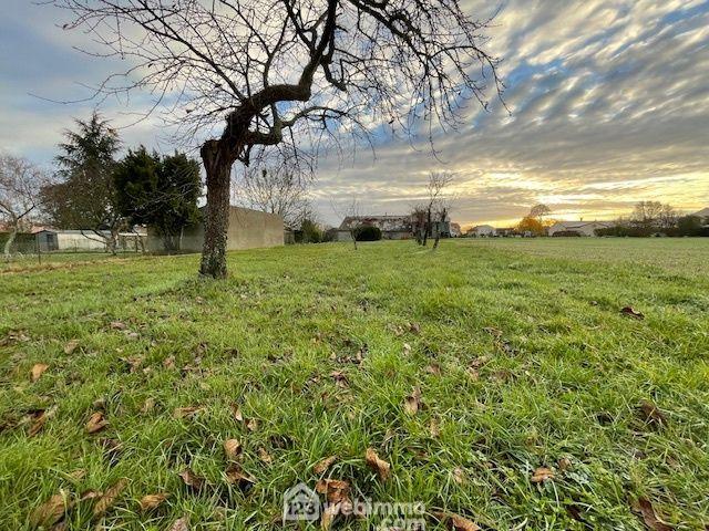 Terrain constructible - 1589m² - Liniers
