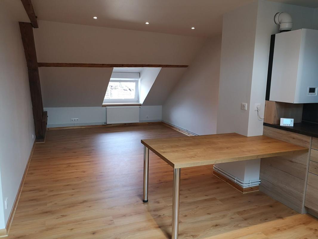 Appartement 2 pièces (49.5 m²) à louer - Raon-l'étape (88110)