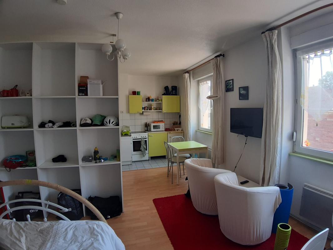 Studio meublé (28.9 m²) à louer - Saint-dié-des-vosges (88100)