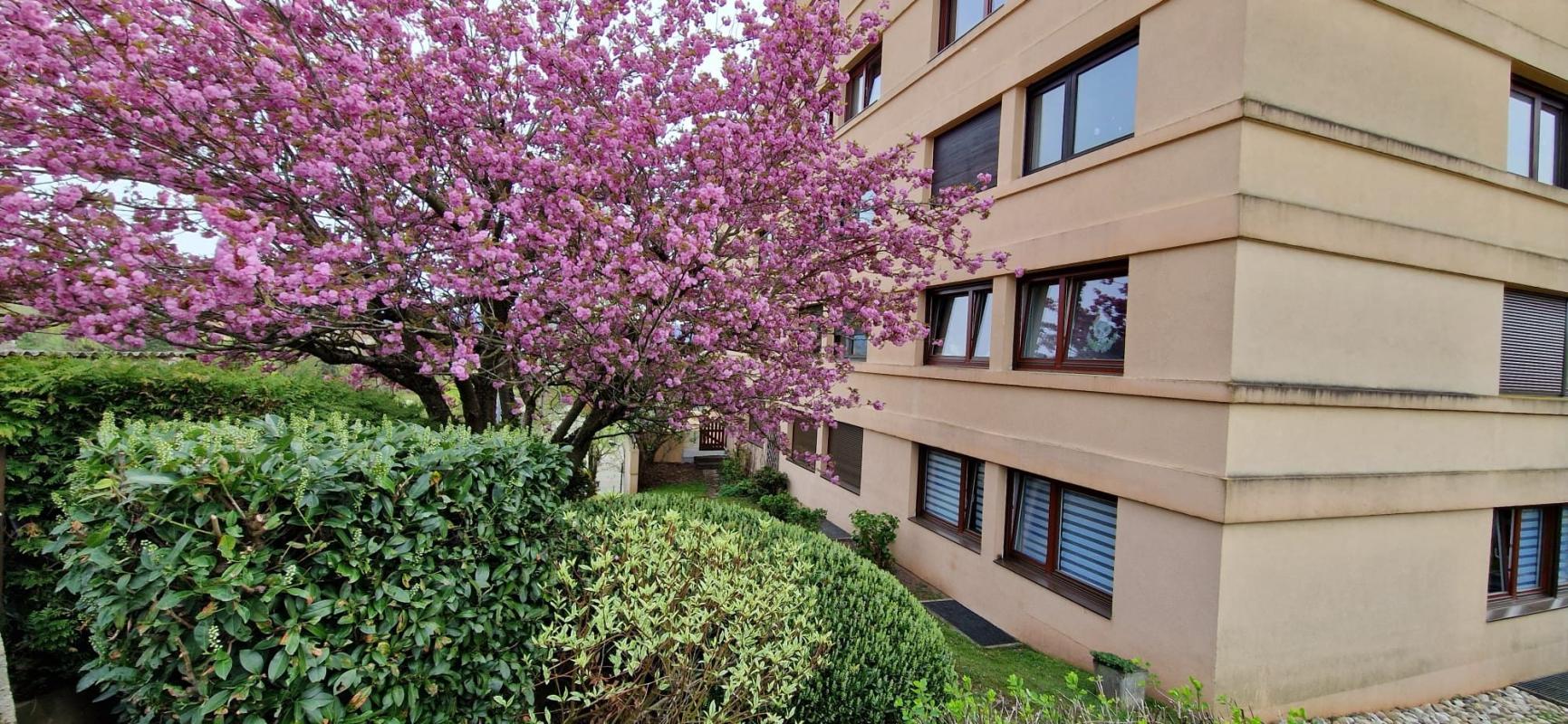 Appartement 3 pièces (72.28 m²) à vendre - Saint-dié-des-vosges (88100)