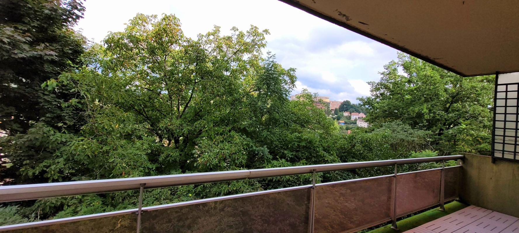 Appartement 5 pièces (105.7 m²) à vendre - Saint-dié-des-vosges (88100)