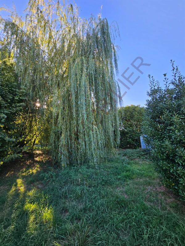 TERRAIN A BATIR 1400M² PARC NOMBREUX ARBRES