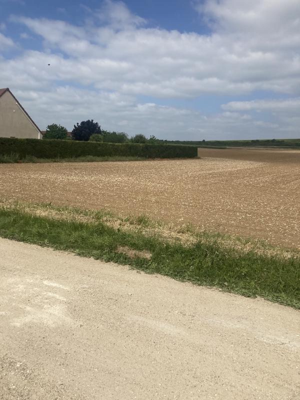 Terrain à bâtir