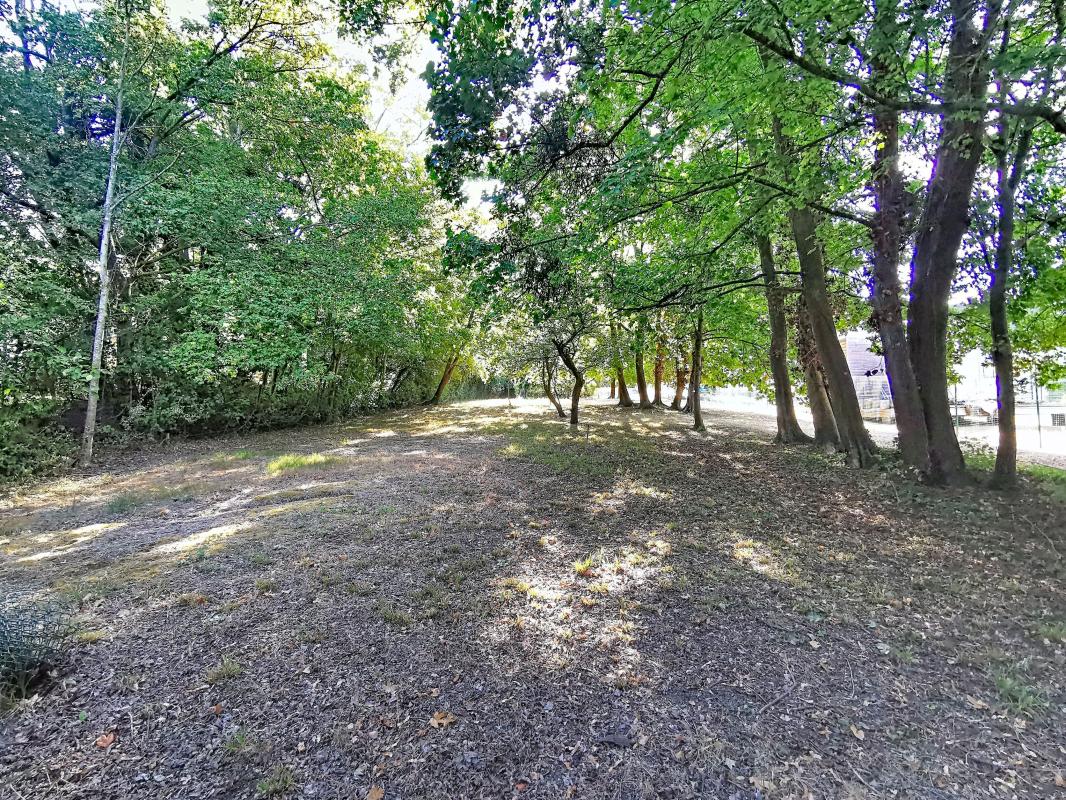 Terrain constructible À Vendre 2584 m² , 20 m de façade