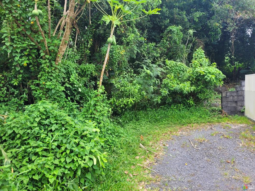 Terrain au cœur de la nature, à deux pas du Bassin Bleu à Sainte Anne