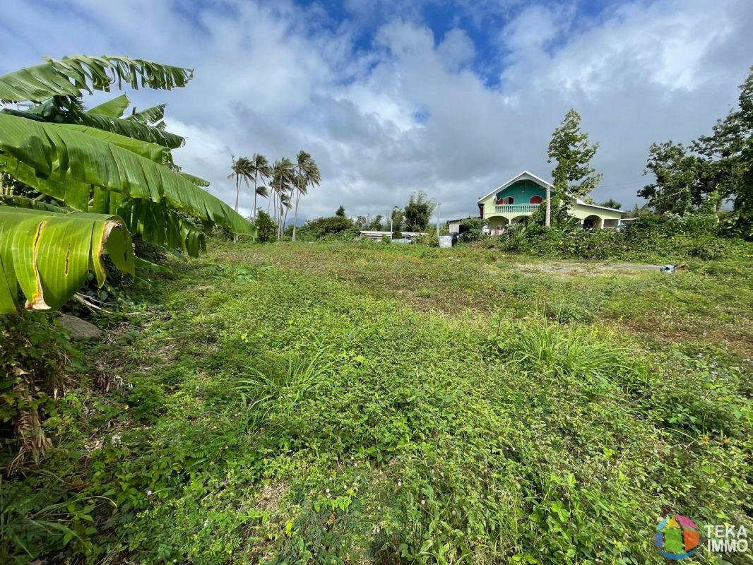 TEKA IMMO VOUS PROPOSE A VENDRE DES PARCELLES DE 300M² A VENDRE SUR ST BENOIT, A MOINS DE 5 MINUTES DU GHER, ILE DE LA REUNION