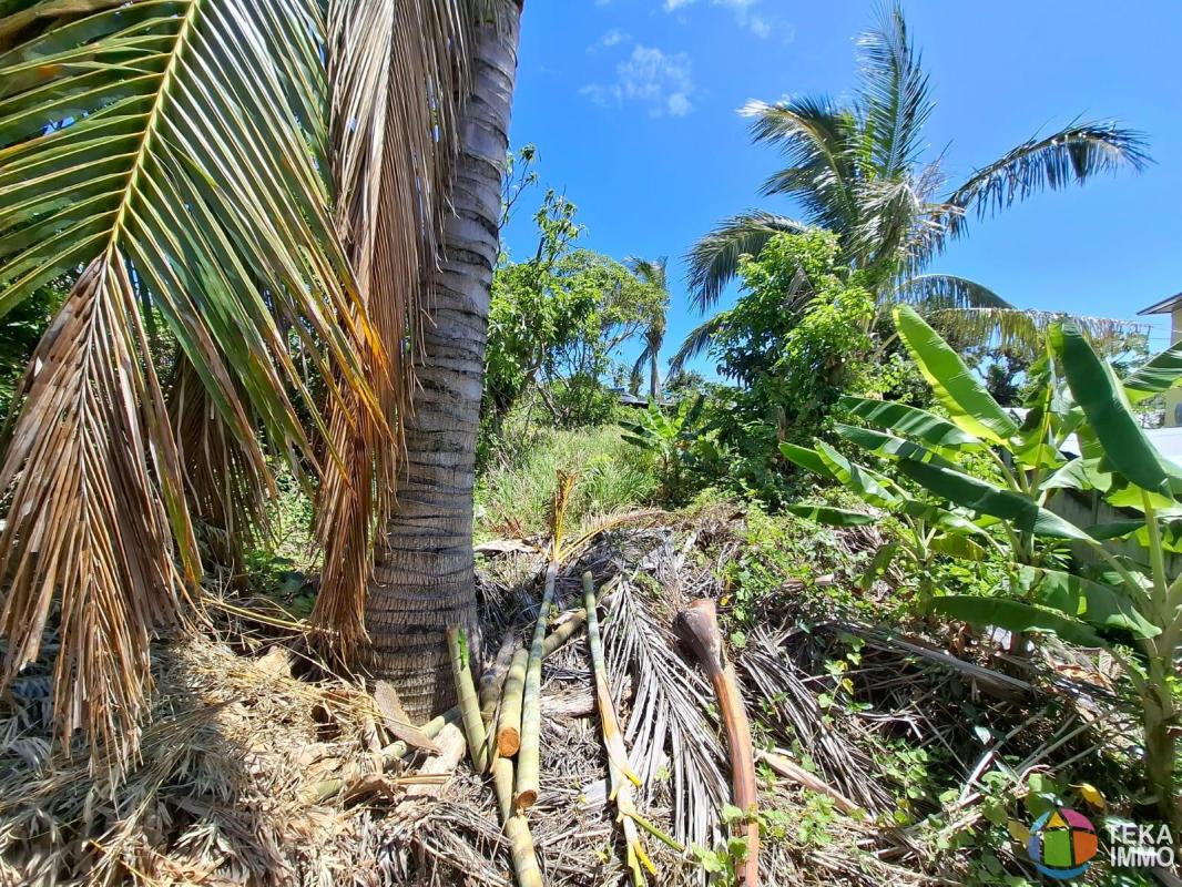 Terrain plat à vendre – 316 m² exploitables – Chemin Lefaguyes, Saint-André