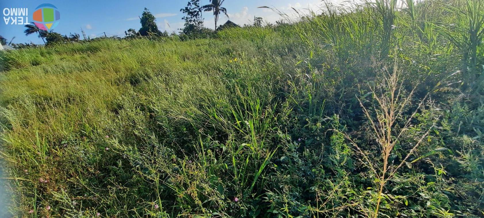 Terrain de 3200m² constructible sur St-Benoit