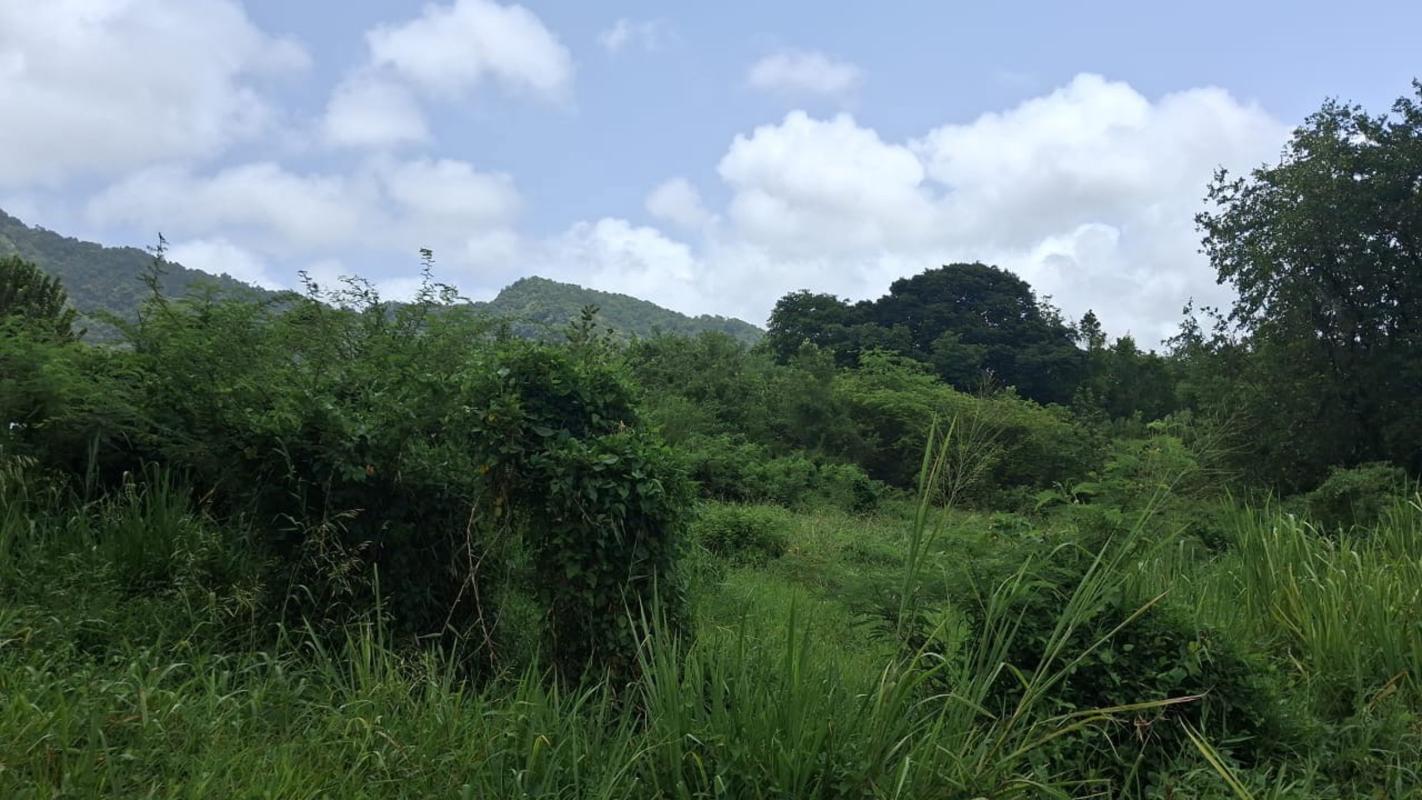 A vendre terrain constructible de 1134m2
