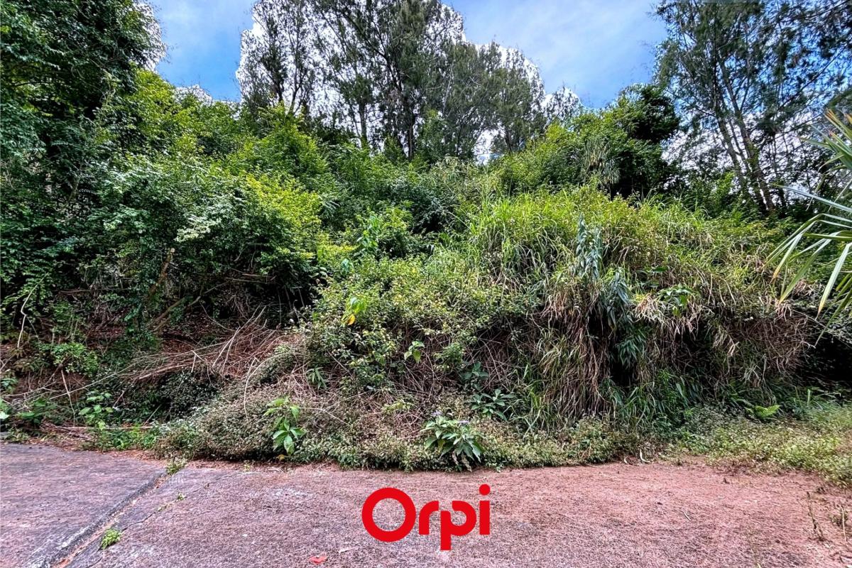 ORPI SALAZIE - Terrain À Vendre