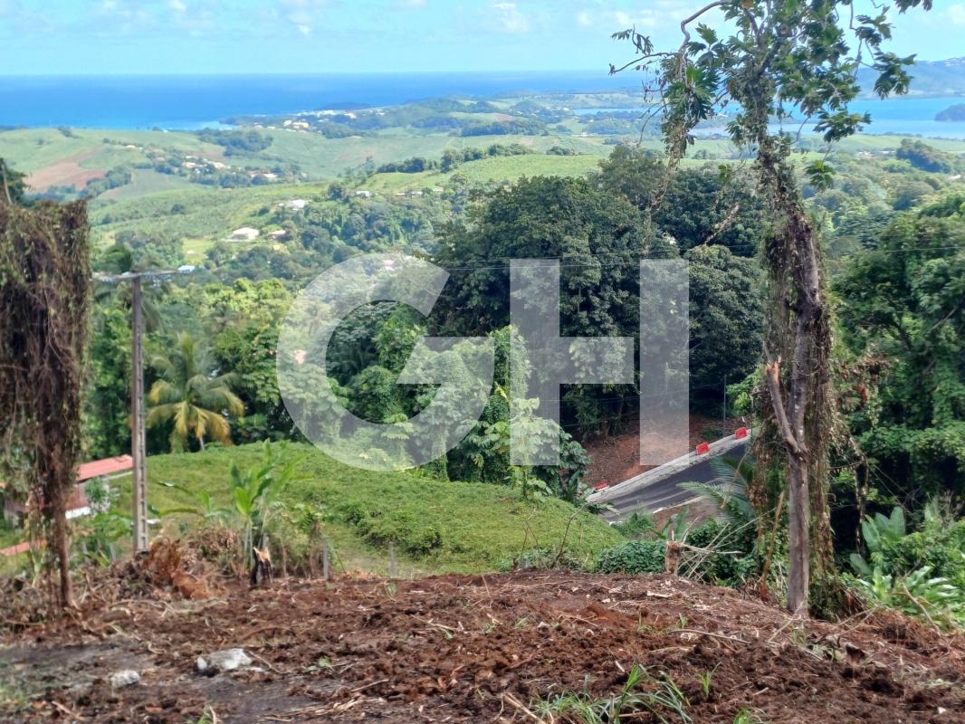 Terrain constructible &agrave; Le Robert pour concr&eacute;tiser votre projet d'habitation !