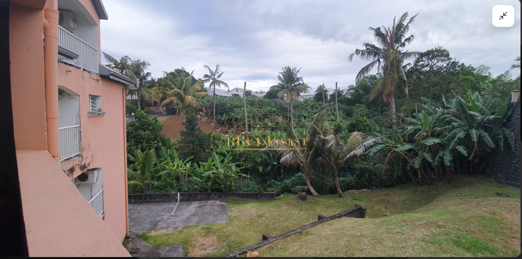 Logo Immobilier réunion_edited.jpg