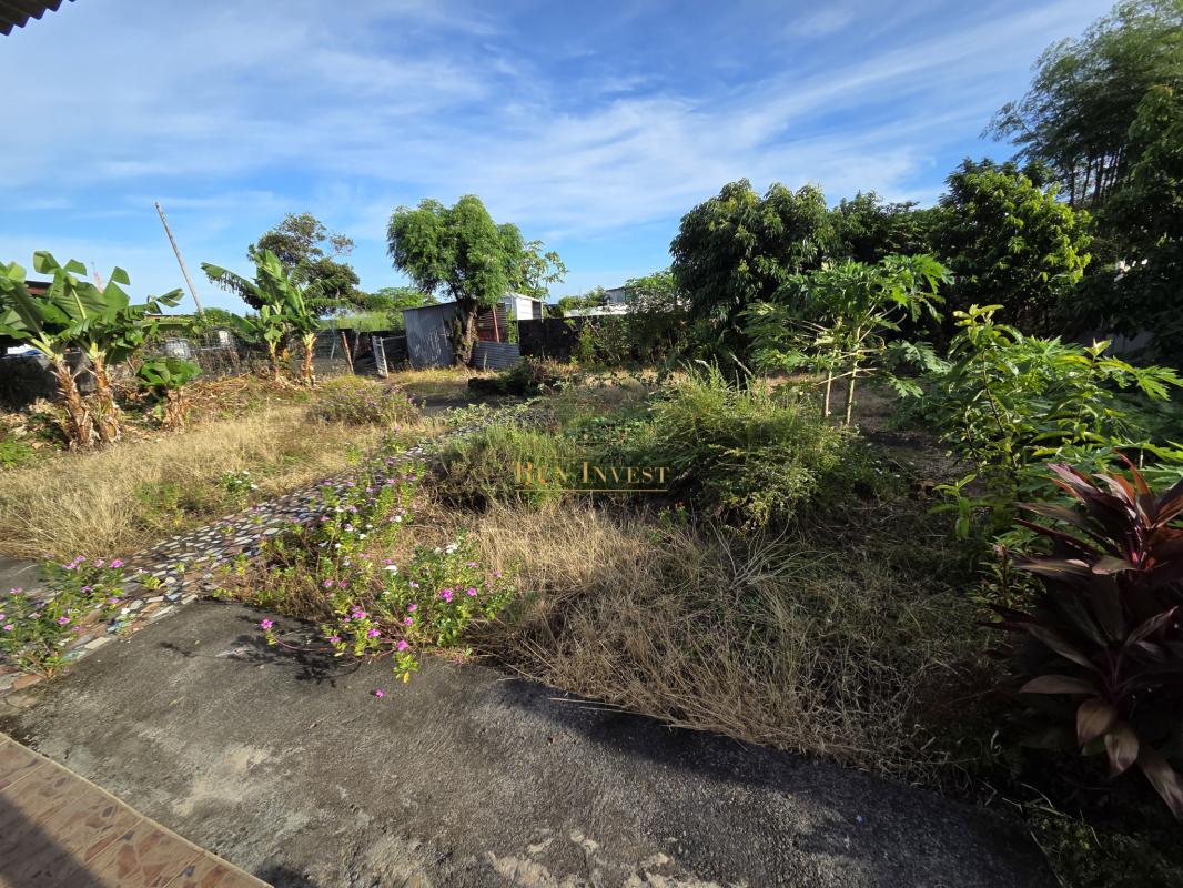 Logo Immobilier réunion_edited.jpg