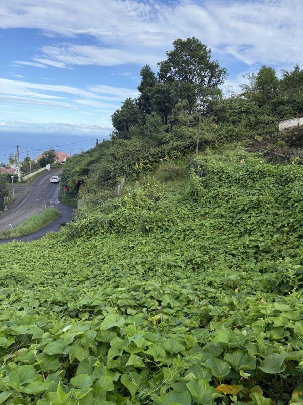 Modern Design Accueil