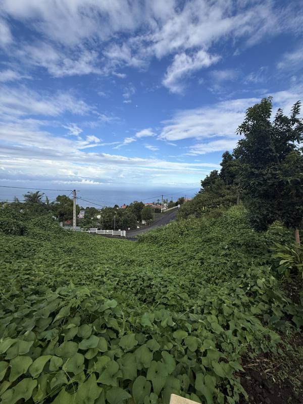 Maison Blanche moderne