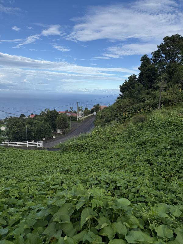 Moderne Maisons d'Hôtes Quartier 